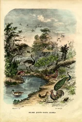 Page de titre, 1863-79